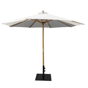 Umbrella with Stand